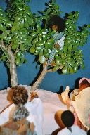 Durch Anklicken kann dieses Bild in Druckqualit�t heruntergeladen werden