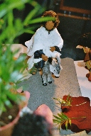 Durch Anklicken kann dieses Bild in Druckqualit�t heruntergeladen werden