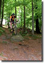 Nordmannsturmtrail
